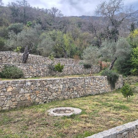 Villa Belle Air Herceg Novi Eksteriør billede